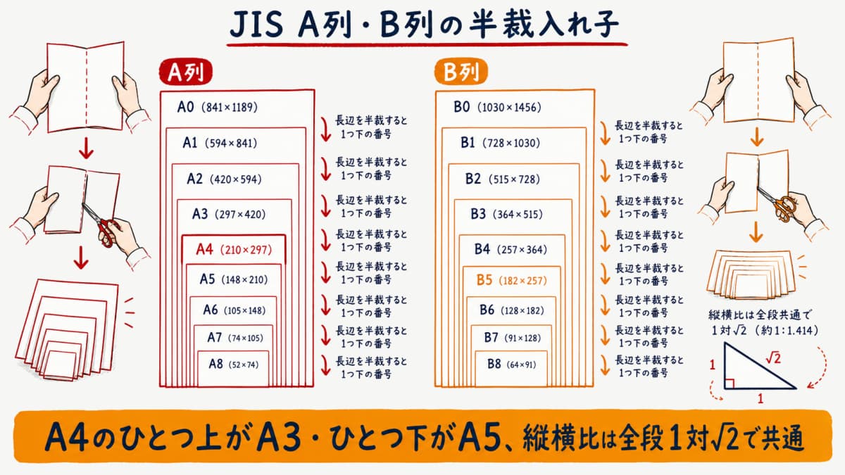 JIS A列とB列の仕上りサイズを半裁で入れ子表示した関係図